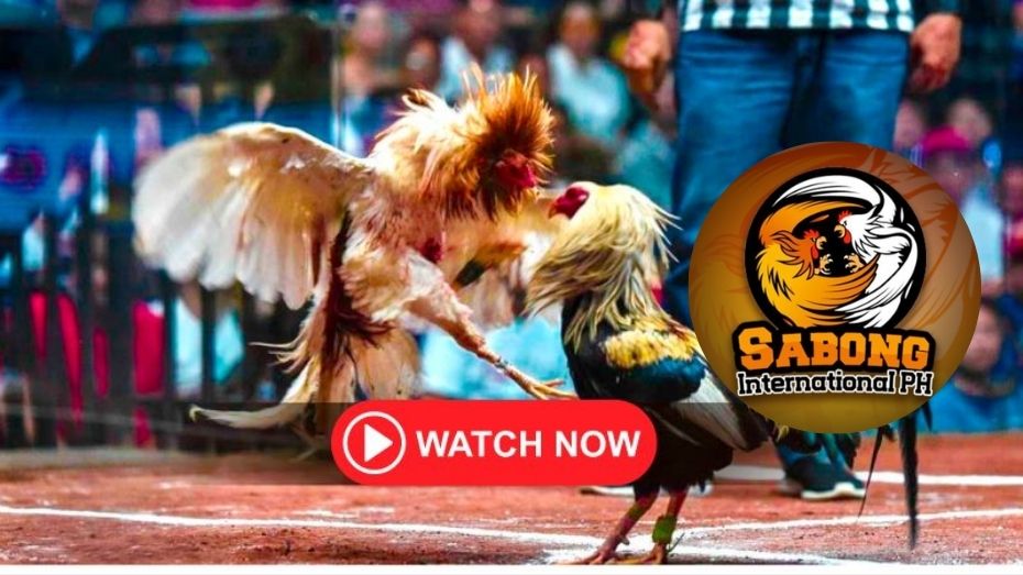 sss office hours pdf to word converter 100 free